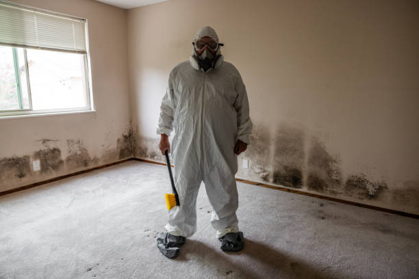 Best HVAC Mold Remediation in Orting, WA